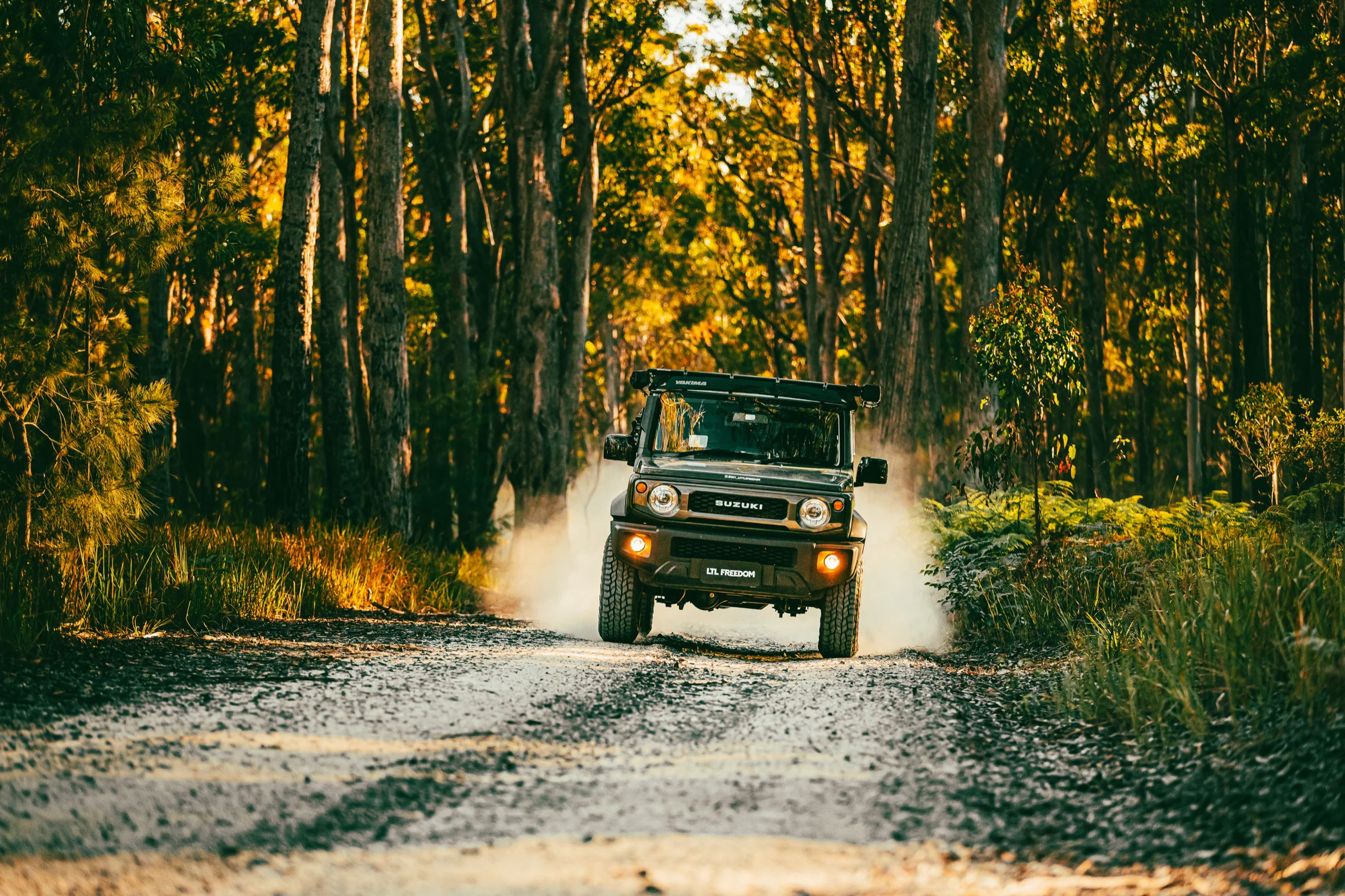 A four-wheel drive travelling along a dusty forest track at golden hour.